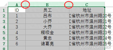 (行高列宽在哪里设置)(怎样调整行高和列宽)