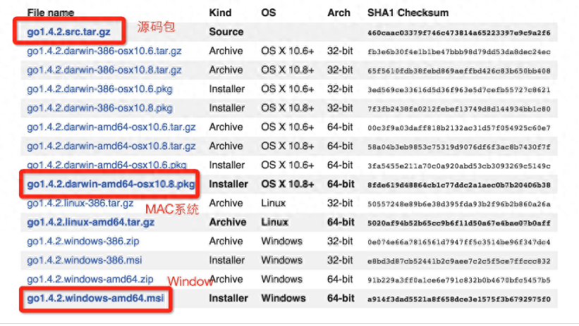 (go语言可以做什么)(go语言做web开发靠谱吗)